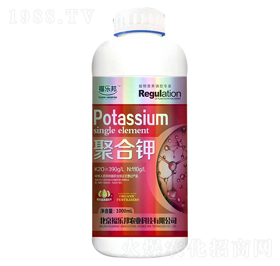 �ۺ�� ������