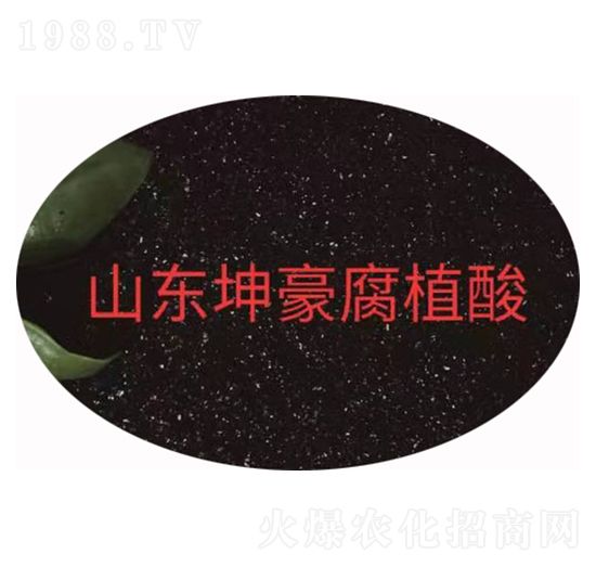 СƬ55% ����