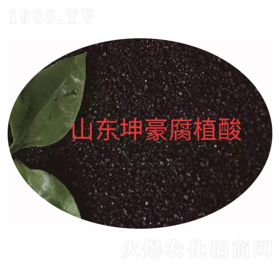 �w����ֲ��� ����