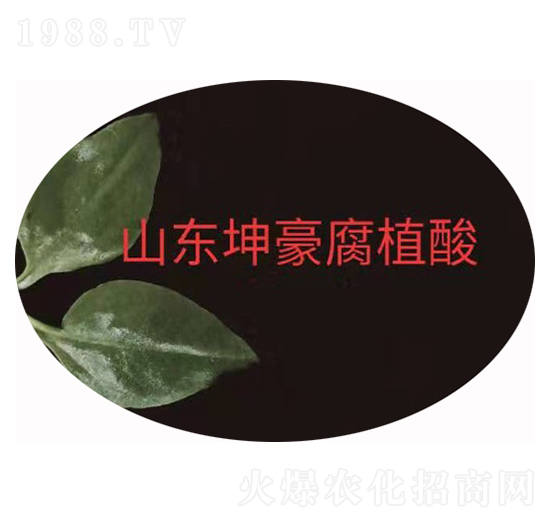 ��ֲ��ԭ�� ����