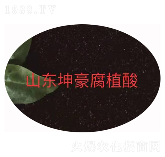 ��ֲ���c60 ����