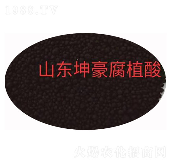 ��ֲ���w�� ����