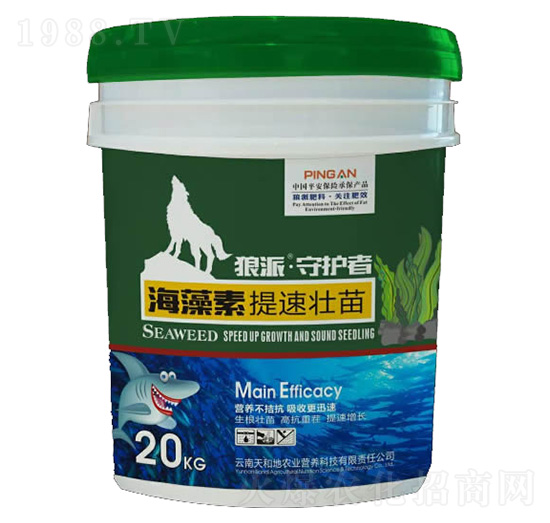 �����ء����ى���-���o��-����