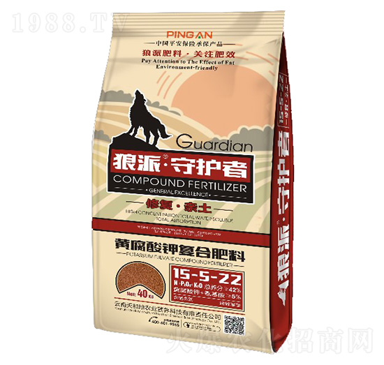 �S����⛏ͺϷ���15-5-22-���o��-����