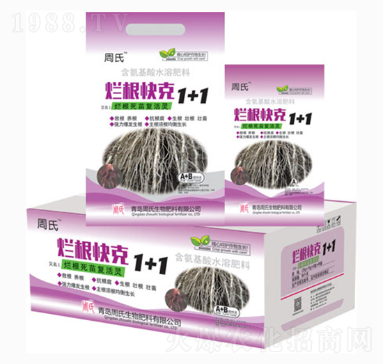 �������1+1-�����r(n��ng)��