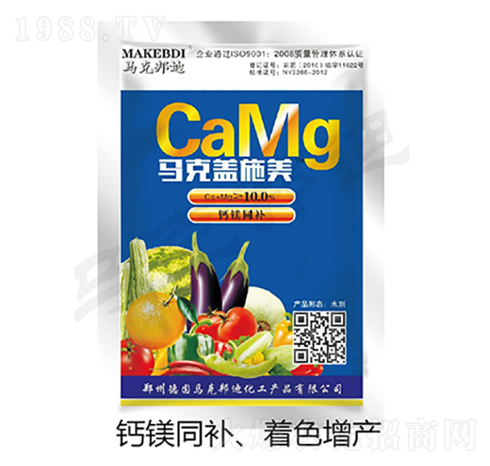 �R���wʩ��-�R�˰��