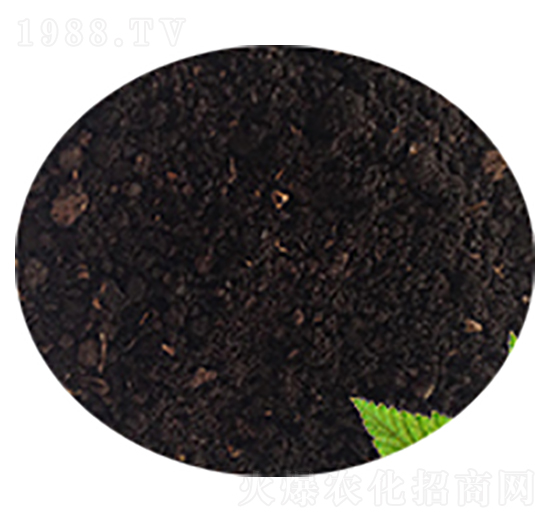 �ݻ���-�Gɫ��@