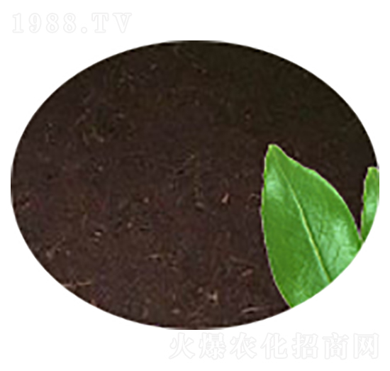 ����-�Gɫ��@