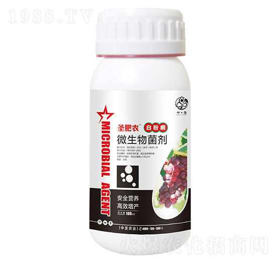 ƿ�b�׷۲�����΢�������-ʥ���r-��ʥ�r�I(y��)