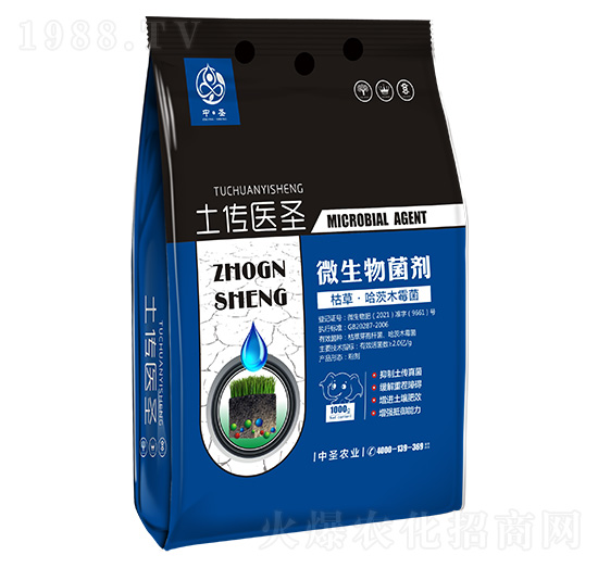 �ݲݡ�����ľù��-�����t(y��)ʥ-��ʥ�r�I(y��)