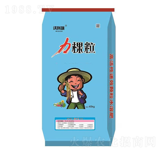 ���w�� �u�_�ʘI(y��)