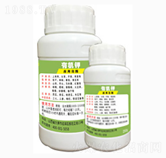 �ЙC�-�x��������