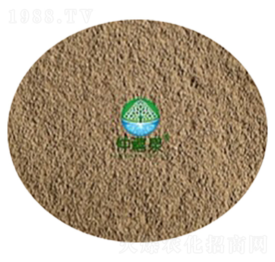 ���ϔM��ù-����Ȫ