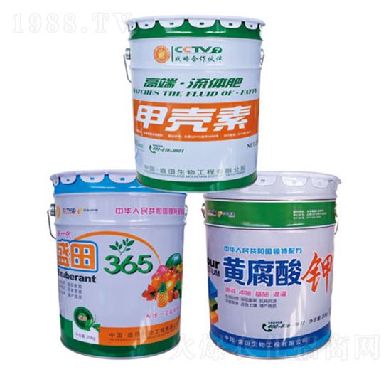 �߶����w�ʼך���-ʢ������