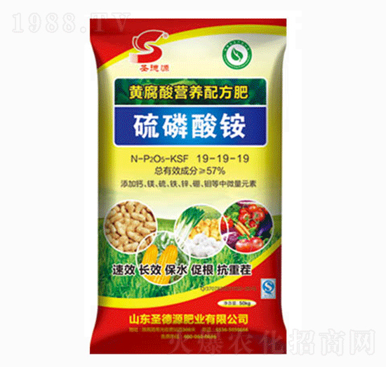 �������@19-19-19-ʥ��Դ