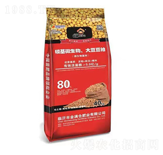 ̼��΢�������󶹶���-��M�}