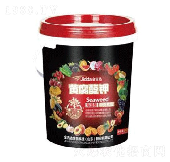 �S����⛣�Ͱ��-���_(d��)