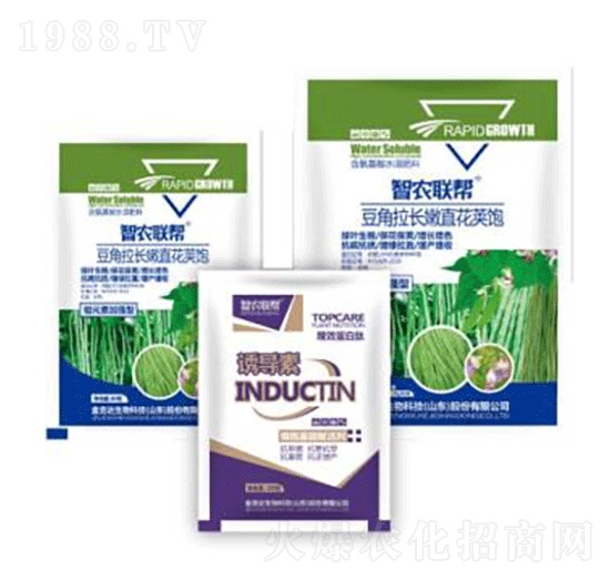 �������L��ֱ���v�-���_