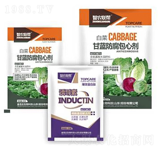 ���{�������Ą�-���_