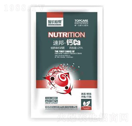 �ٰ�-�}Ca-���_(d��)