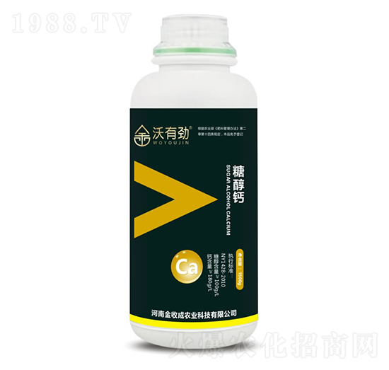 �Ǵ��}-���Є�-���ճ�