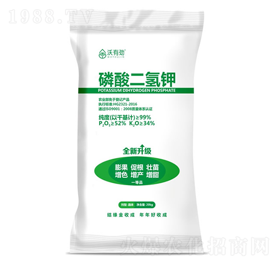 ��������-���Є�-���ճ�