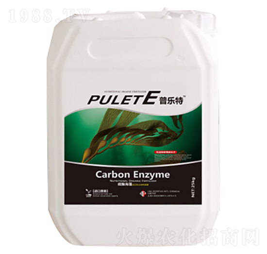 �՘�(l��)��-�ն���