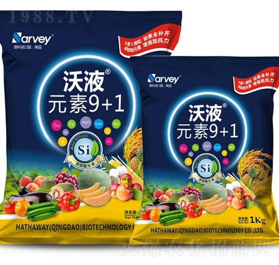 ��ҺԪ��9+1-�����f