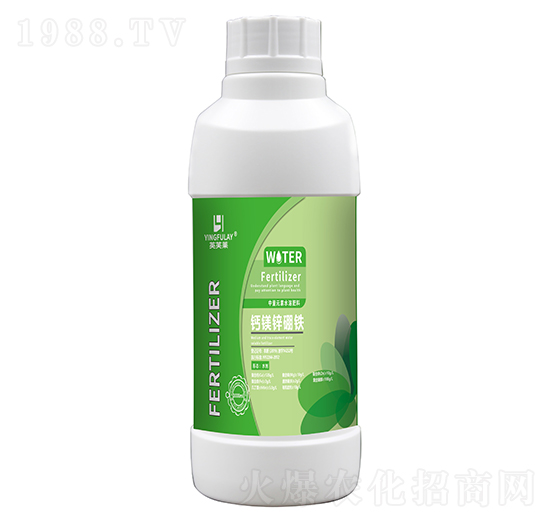 �}�V�\���F-Ӣܽ�R-���A����