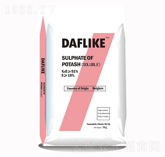 ���������-�¸��R��-����