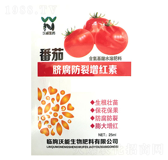 ����Ě���������t��-��������