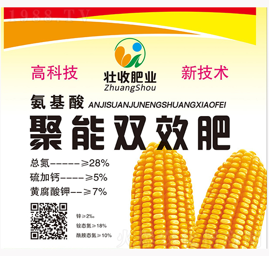 �����pЧ��-���r�ʘI(y��)