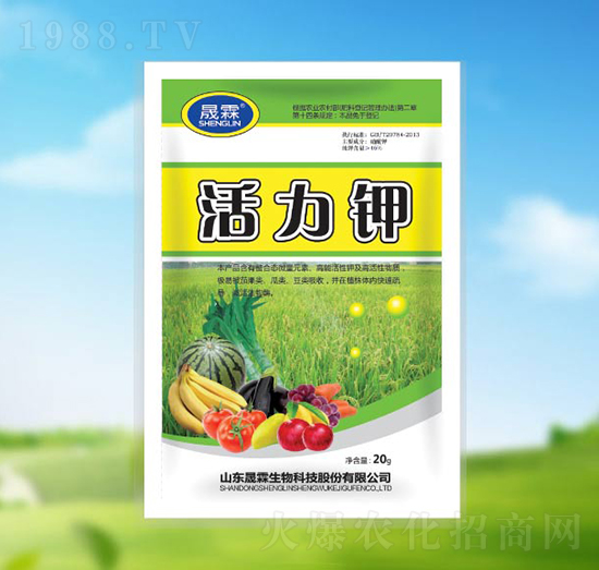 �����-��������