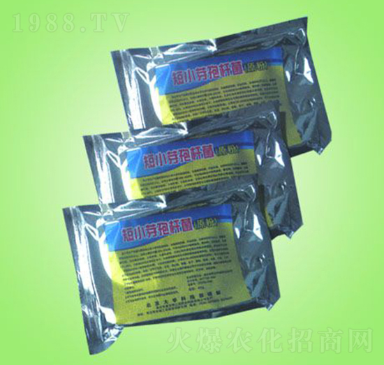 短小芽孢桿菌（原粉）-物之源