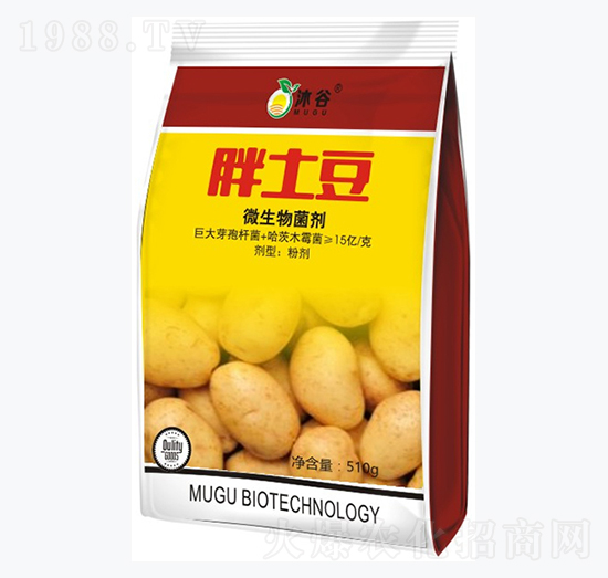 ΢�������-������-�������