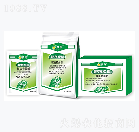 ΢�������-�л�̿��-�������