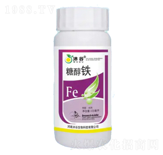 �Ǵ��F-�������