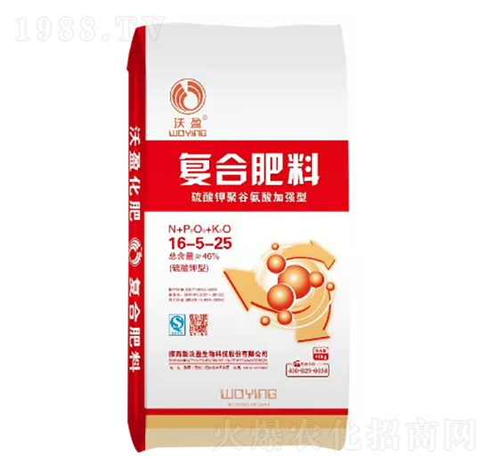 ������͏ͺϷ���16-5-25-��ӯ����