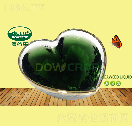 Һ�w�����-��Ș�(l��)