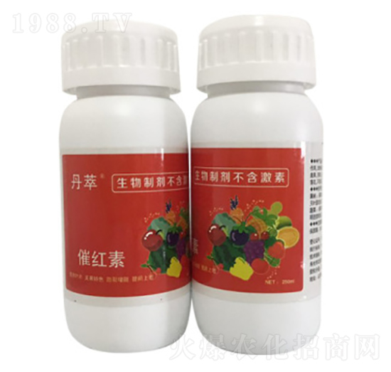 �߼t��-�r(n��ng)����