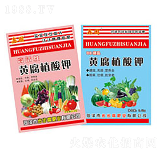 �S��ֲ���-�Έ@-�����߷ʘI(y��)