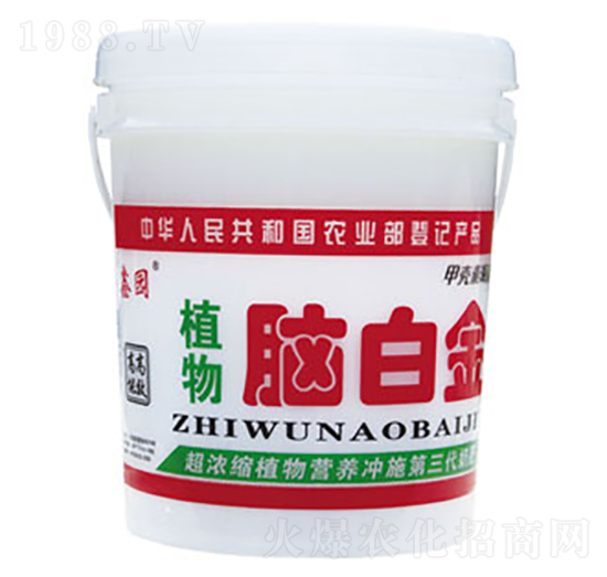 ֲ���X�׽�-�Έ@-�����߷ʘI(y��)