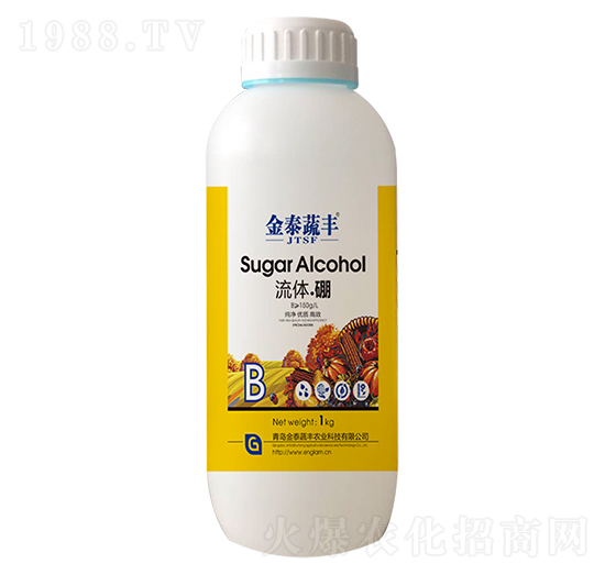 ���w����-��̩���S