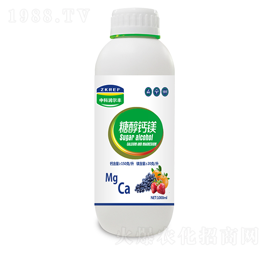 �Ǵ��}�V-�пƝ�(r��n)���S