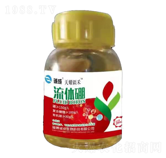 ���w��-��ҫ����-�\������