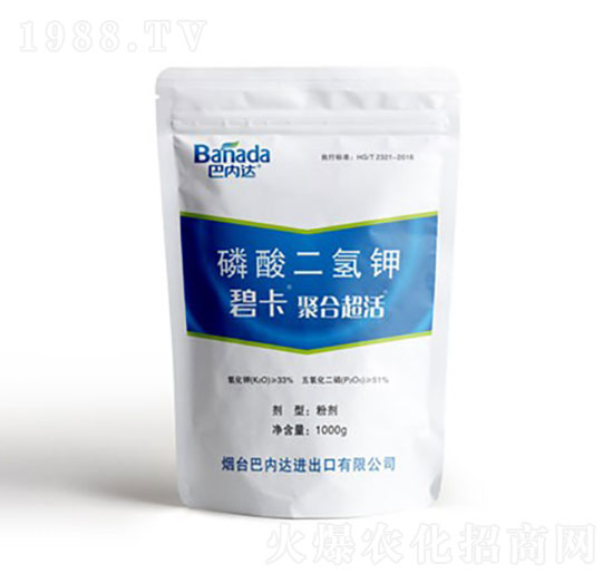 ��������-�̿�-�̓��_