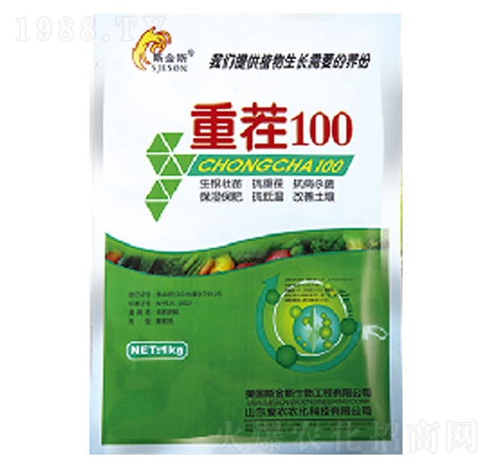 �ز�100-�и�����