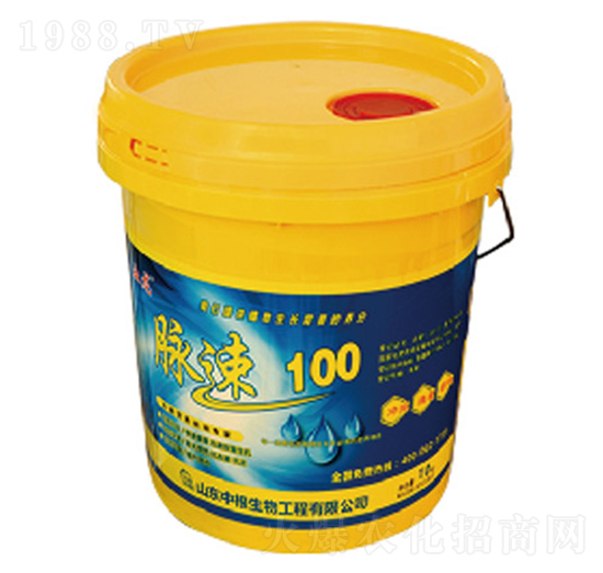 ����100-�и�����