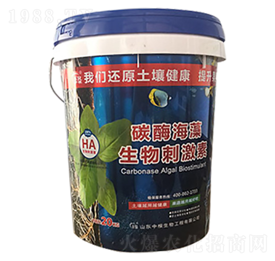 ̼ø��������̼���-�и�����