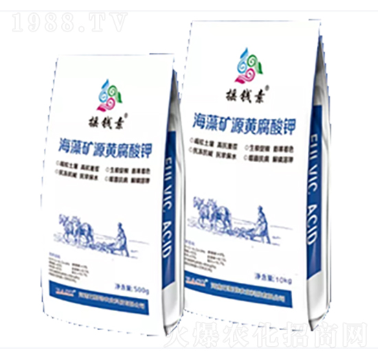 ����VԴ�S�����-�u�X������